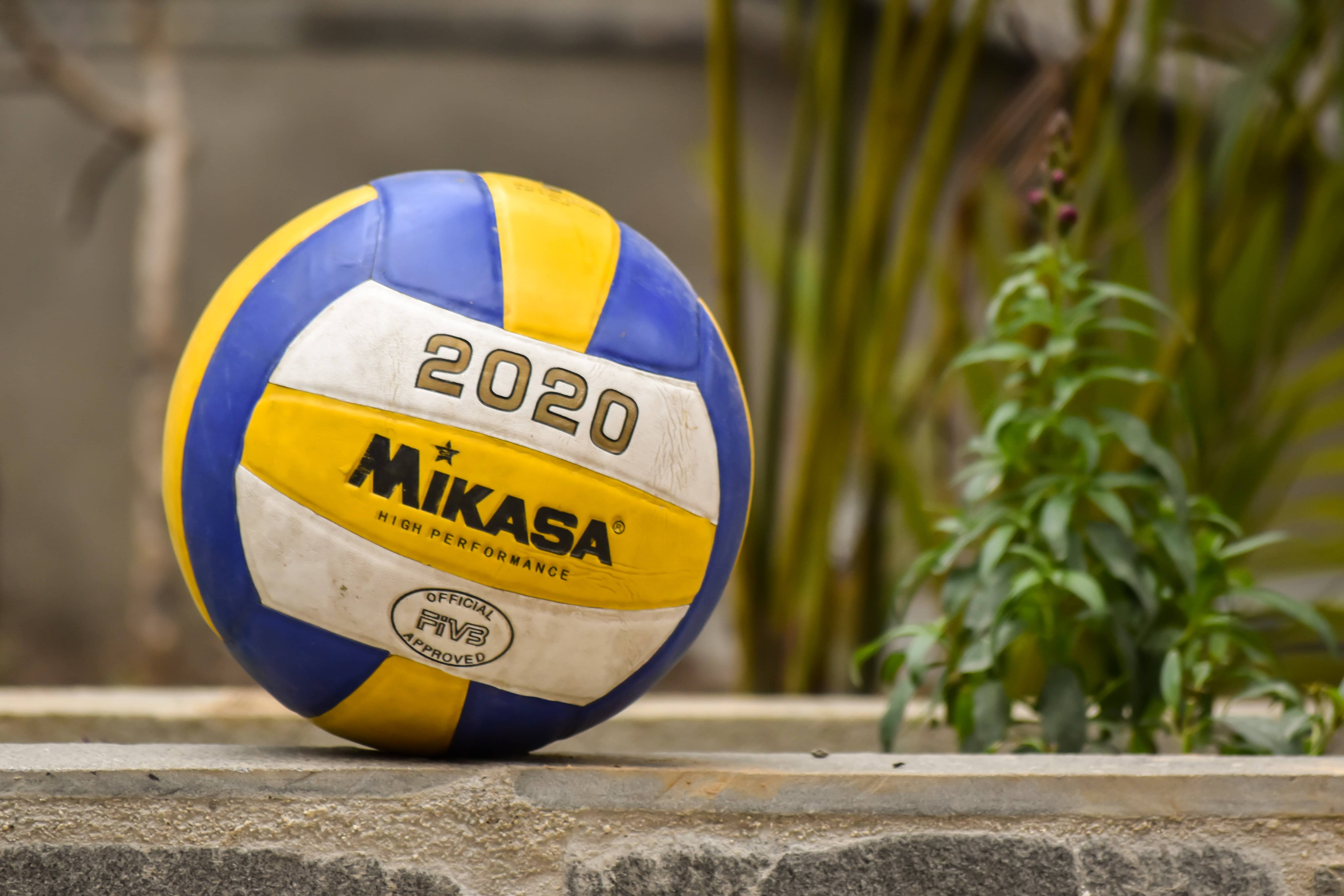 A volleyball on a rock next to a plant