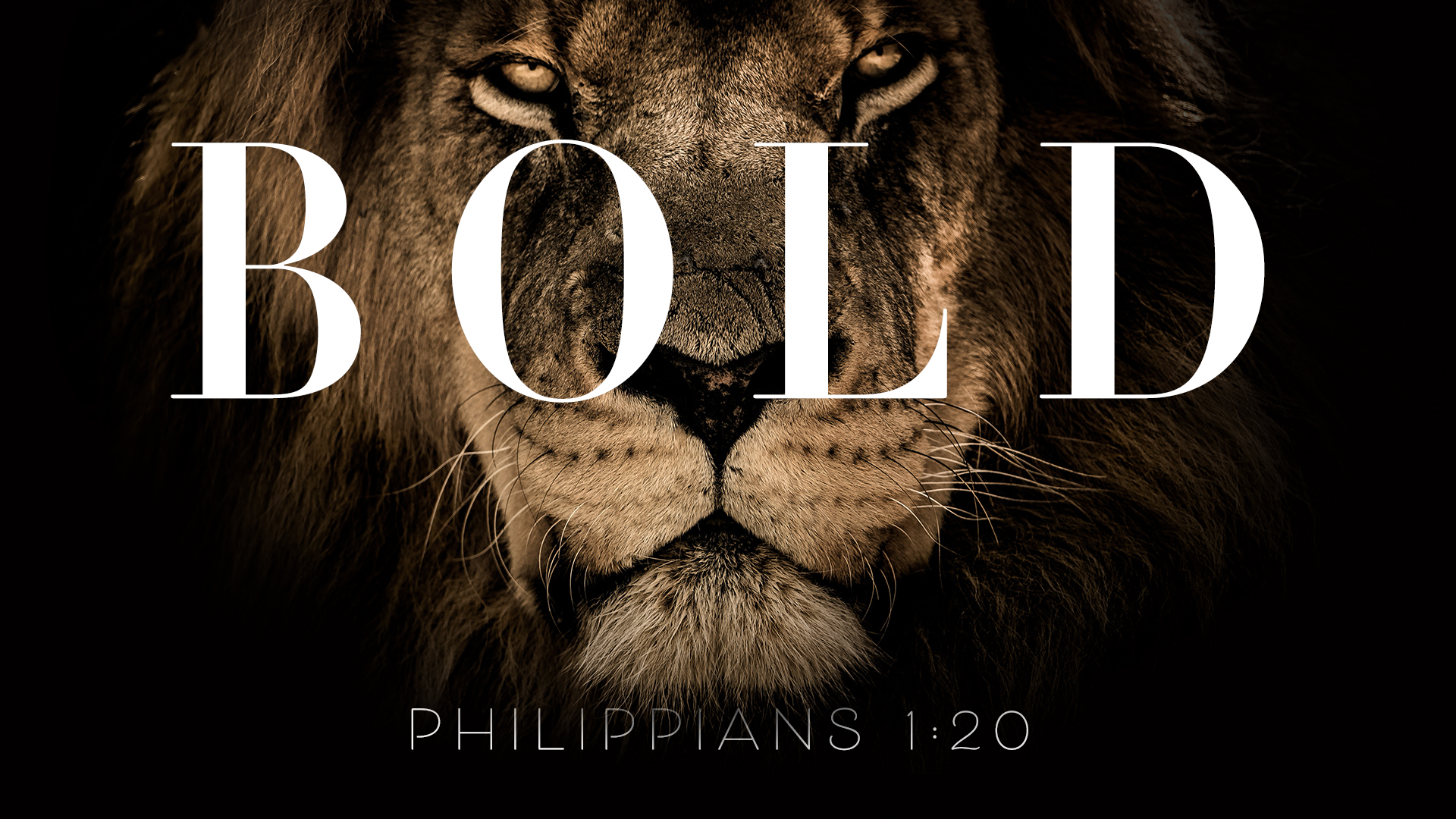 Lion face on black background with Bold in white letters