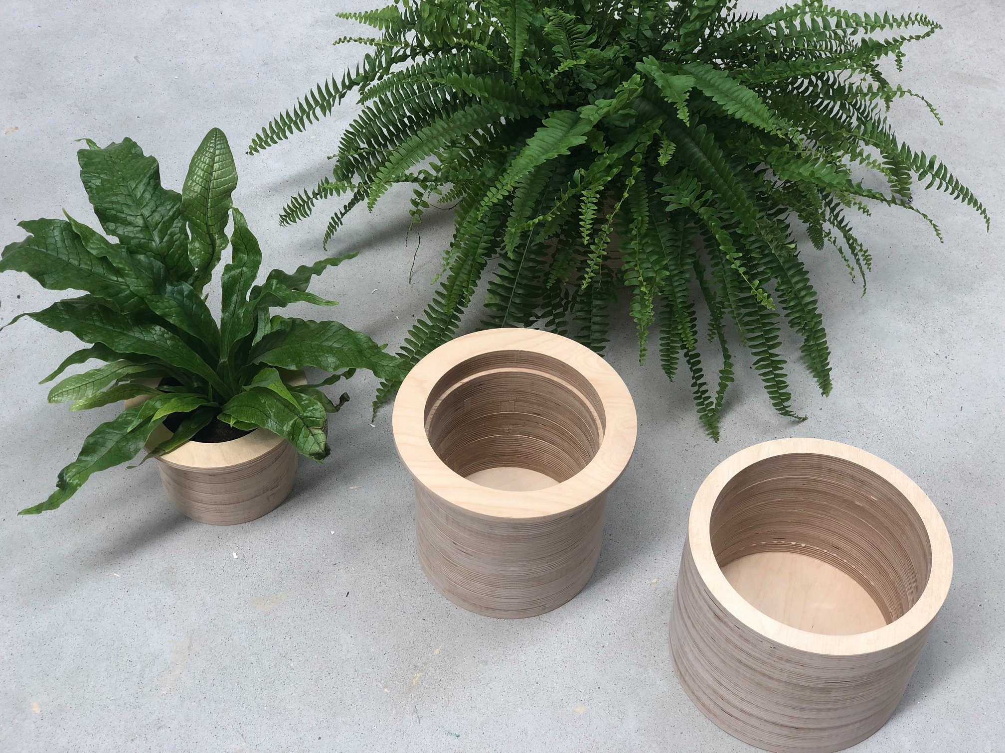 Cache-pot multiligne Studio Trigone