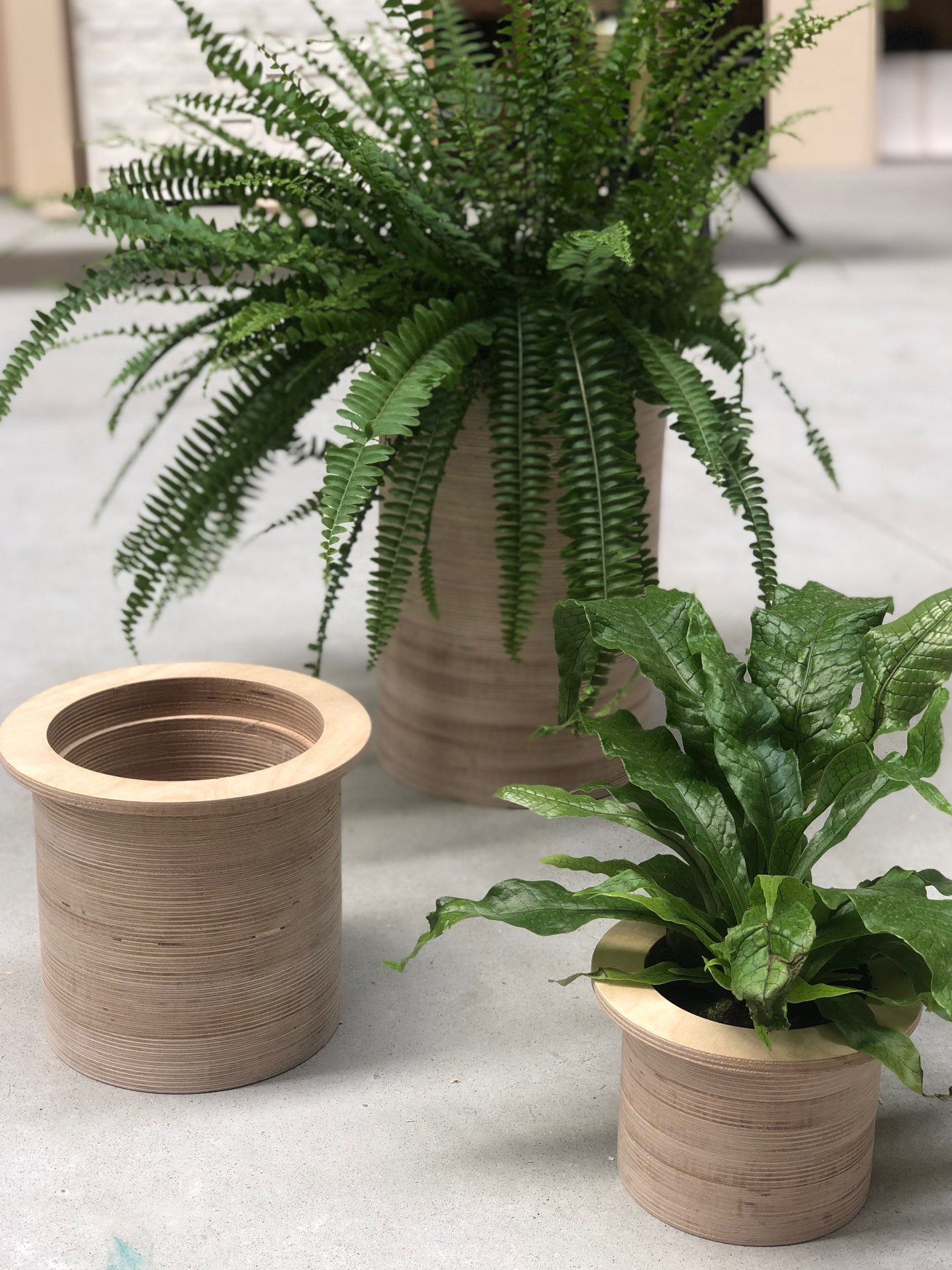 Cache-pot multiligne Studio Trigone