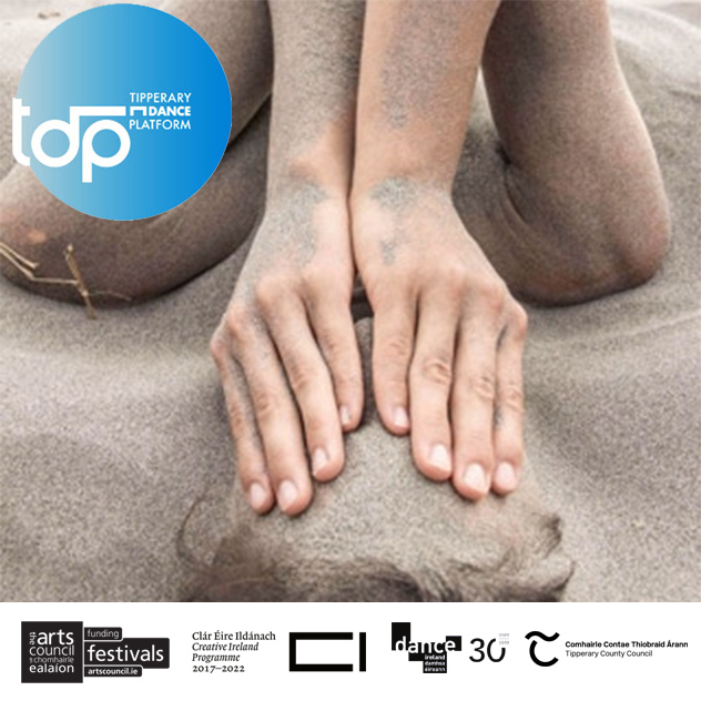 TDP19: Screendance Exhibition