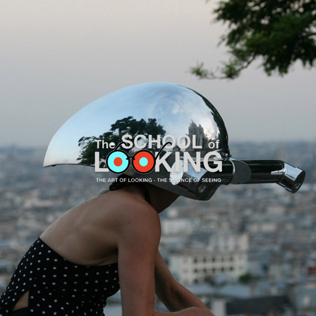 Metaperceptual Helmets