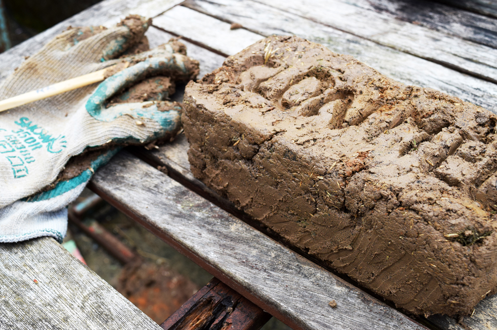 Rachel Rothwell - Green Streets