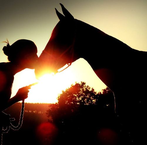 “Endurance rijd je voor de eer”