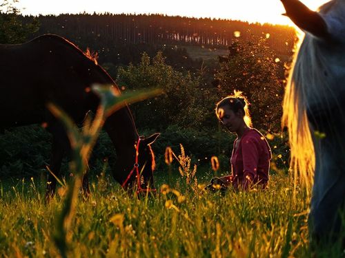 wedstrijdfocus te paarden