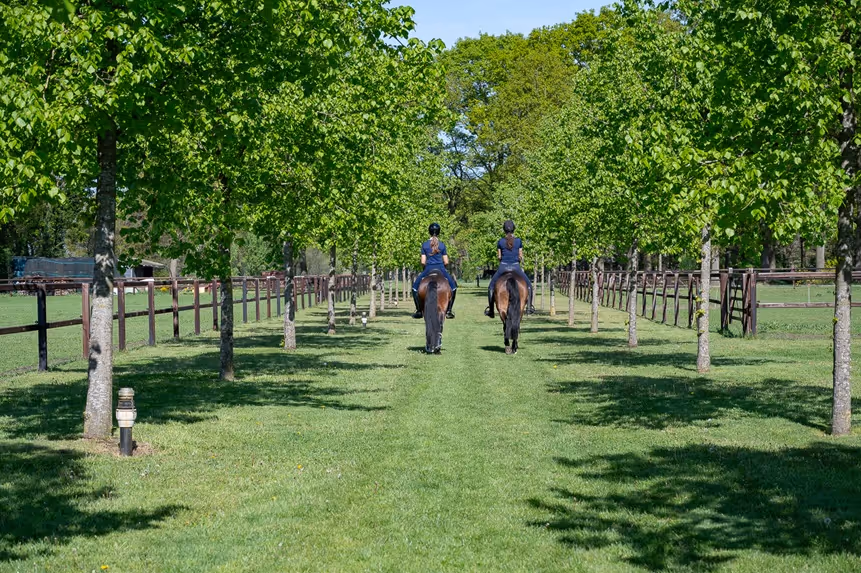 kleinkinderen op de boerderij