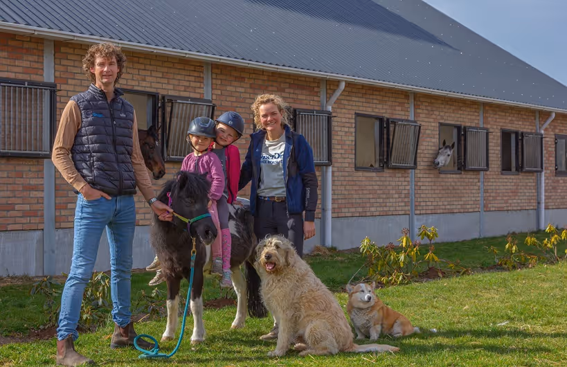 paarden bij SH horses
