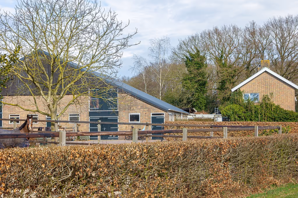 kinderen bij de paarden