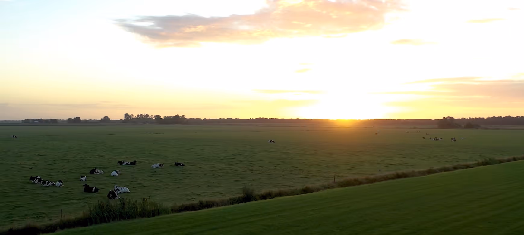 Zuid-Oost Friesland: wonen waar het landschap nooit verveelt