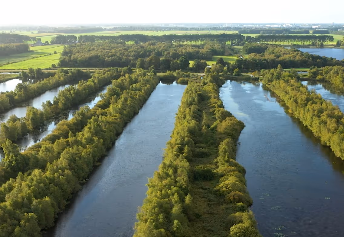 Natuurgebied de Deelen Friesland
