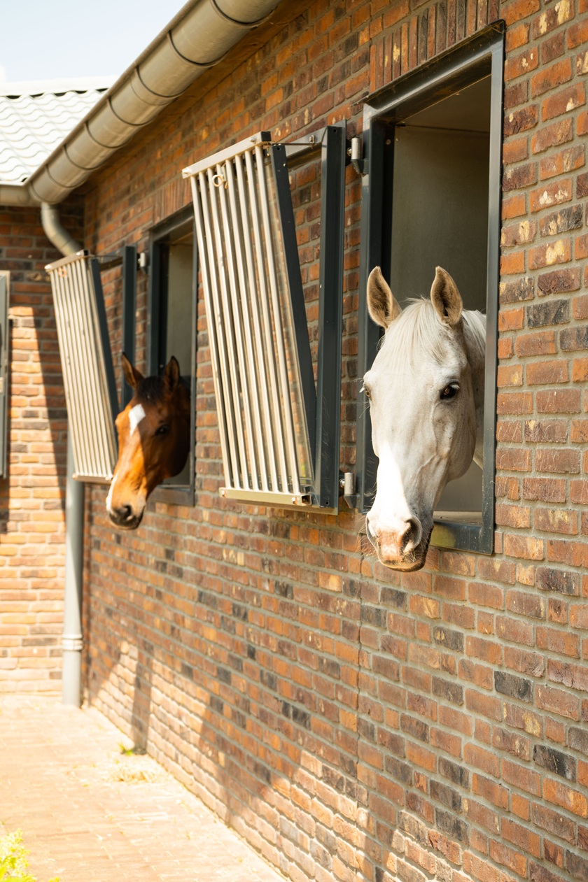paarden van Anky van Grunsven