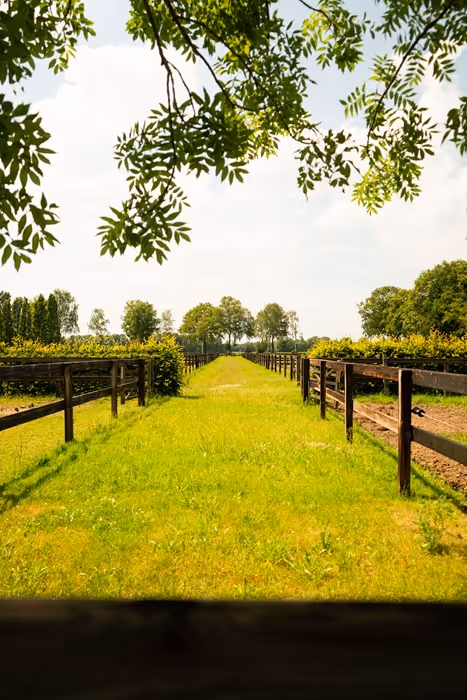 Anky haar paardenomgeving