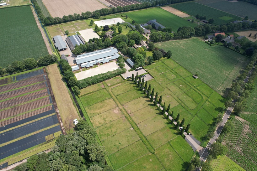 De ambitie blijft bij Anky