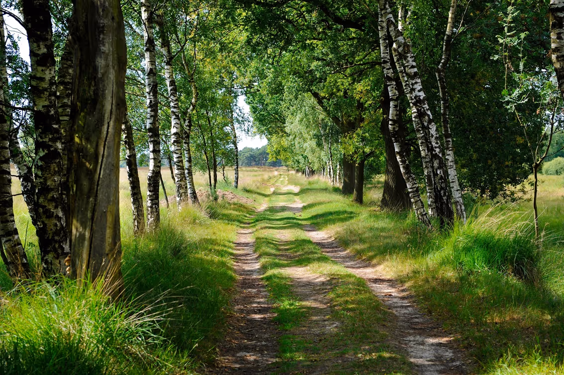 Landelijk wonen rond Diever, Drenthe op z’n mooist