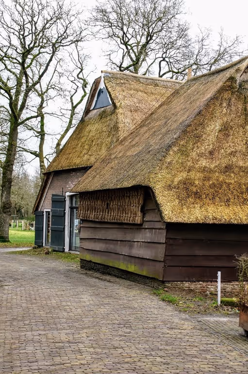 boerderij drenthe