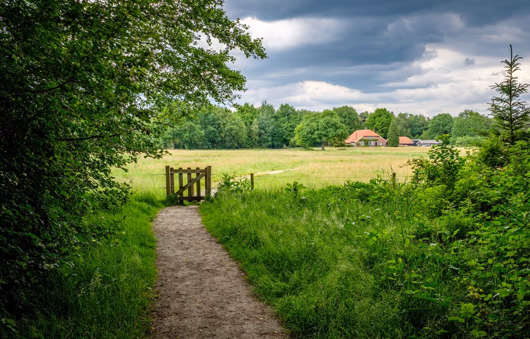 landelijk gebied