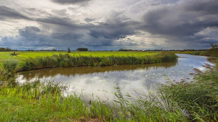 natuur noord nederland
