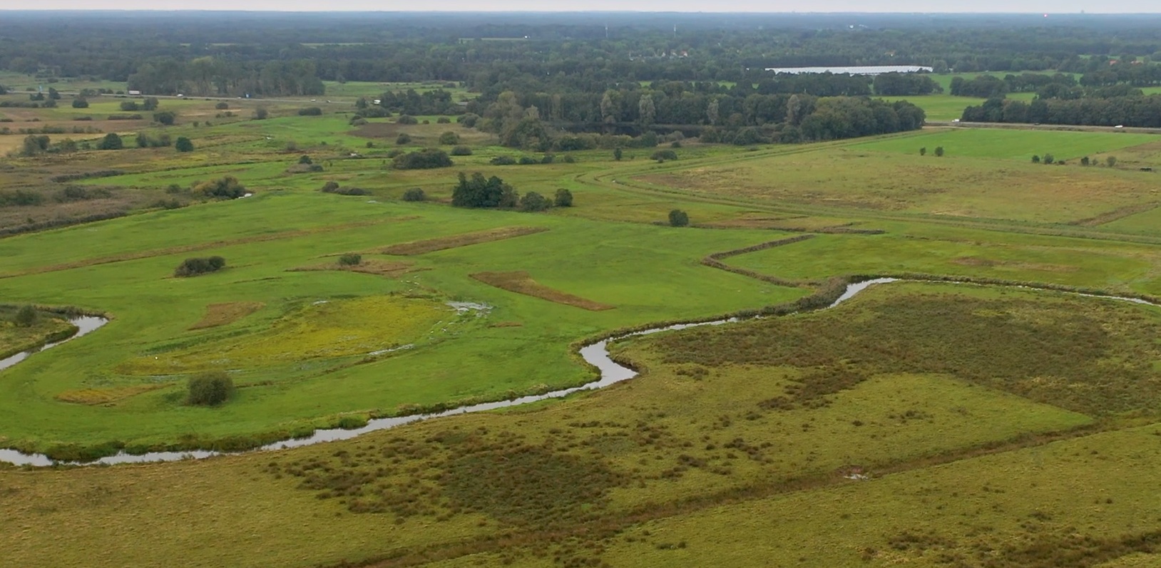landschap noord nederland