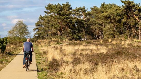 ruimte en rust veluwe