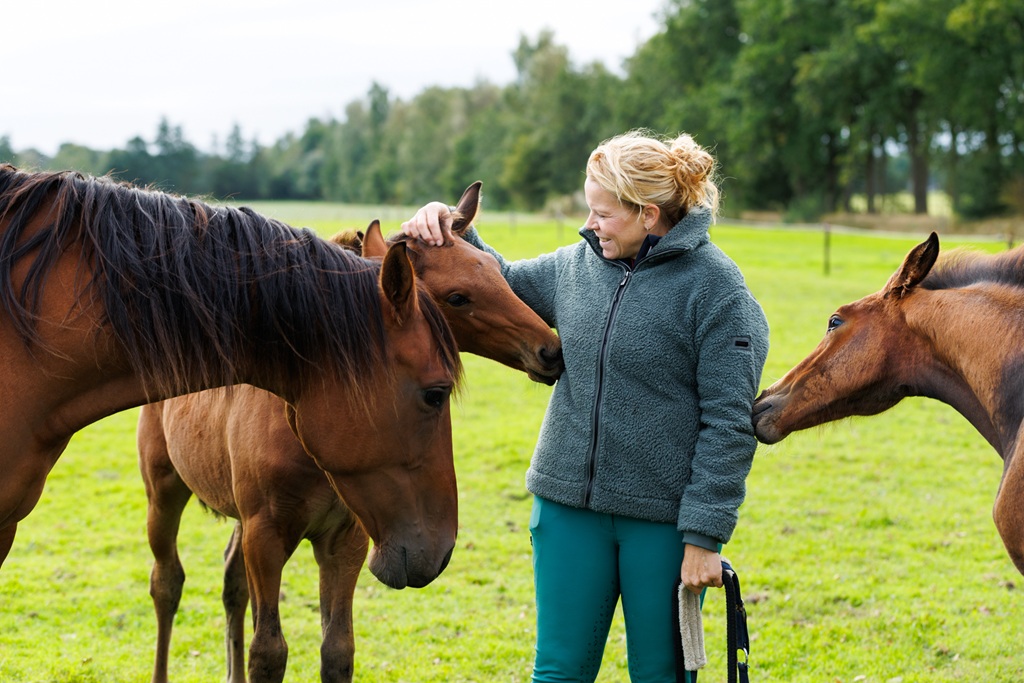 in het weiland met paarden
