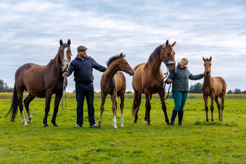 Een erf vol paarden, mensen en mogelijkheden