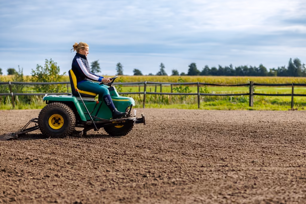 paarden fokken