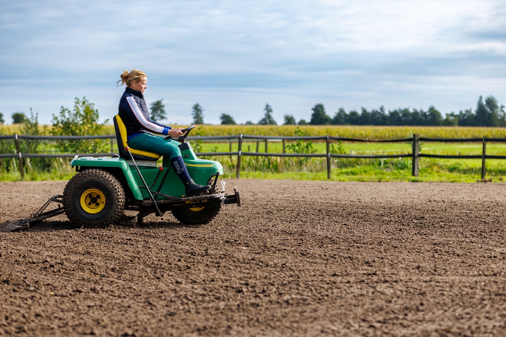 paarden fokken
