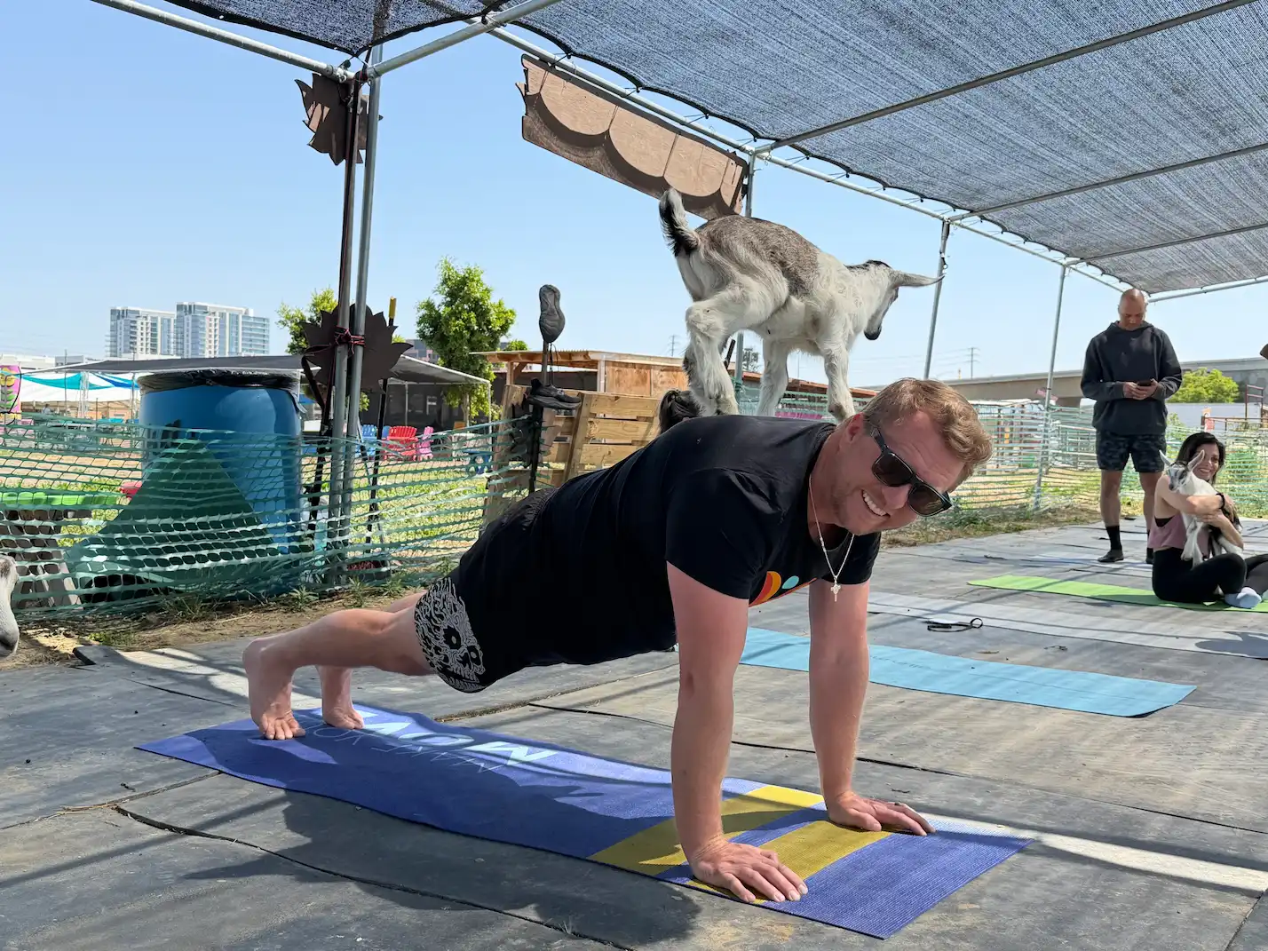 A man in sunglasses holds a plank pose on a yoga mat with a small goat balanced on his back during an outdoor goat yoga session.