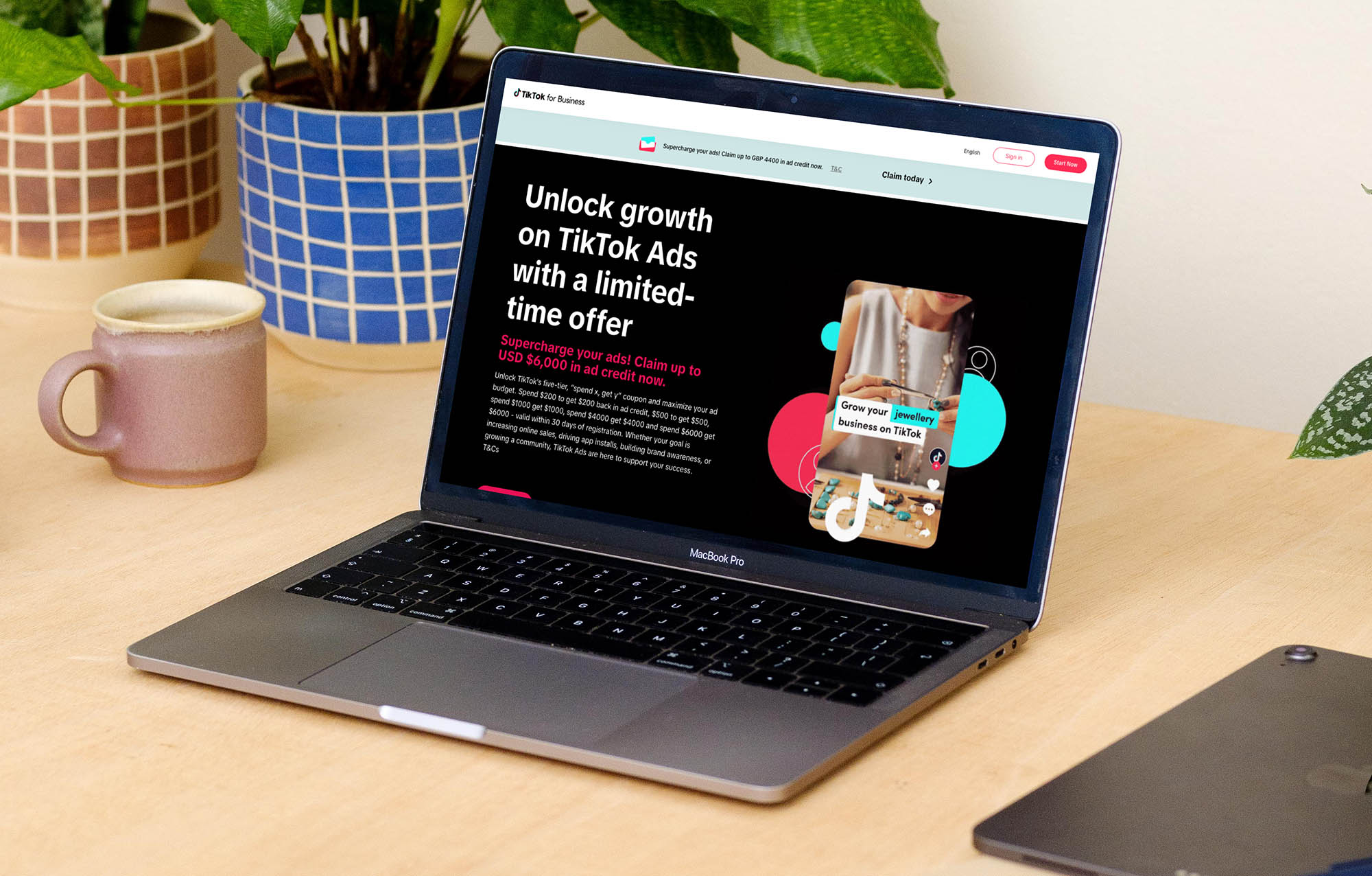 TikTok For Business offer