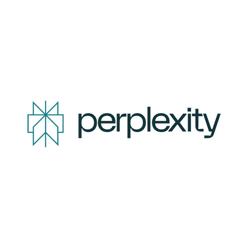 Perplexity