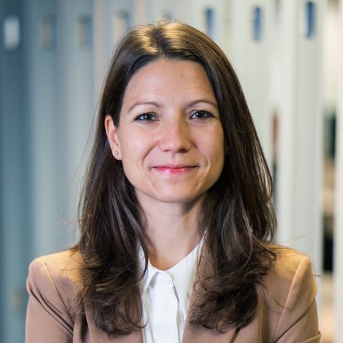 Bridging innovation and market acceptance through standardization.