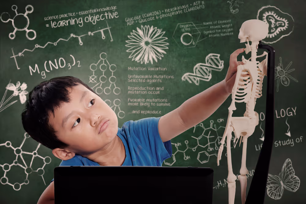young child holding a small skeleton
