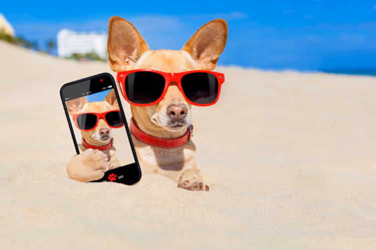 a school gathering to watch screenagers