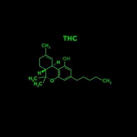 a school gathering to watch screenagers