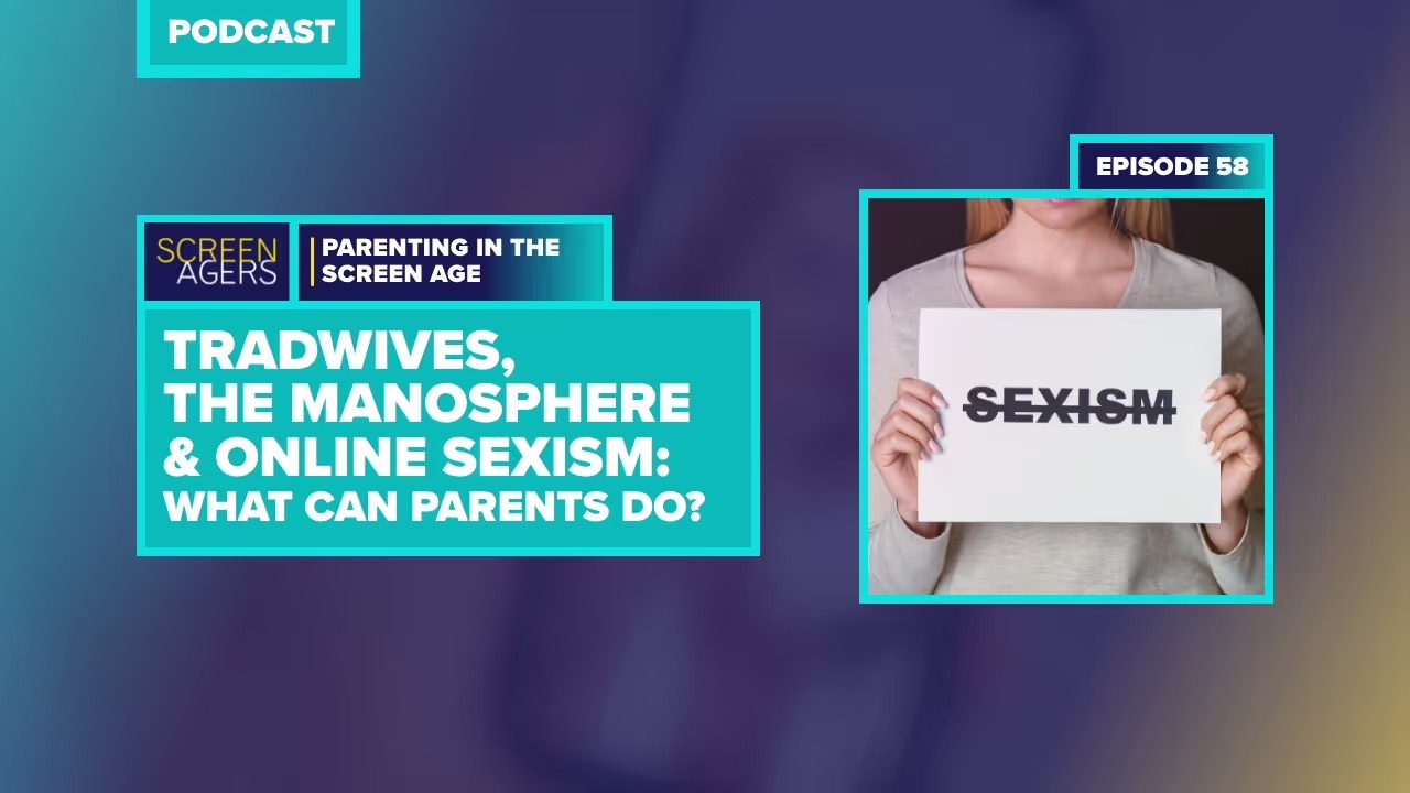 Podcast cover with the title: Tradwives, the manosphere & online sexism.