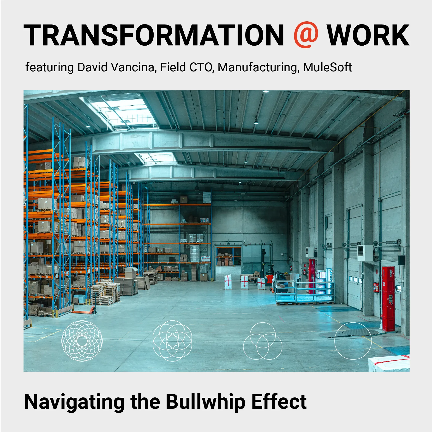 Working warehouse with shelving