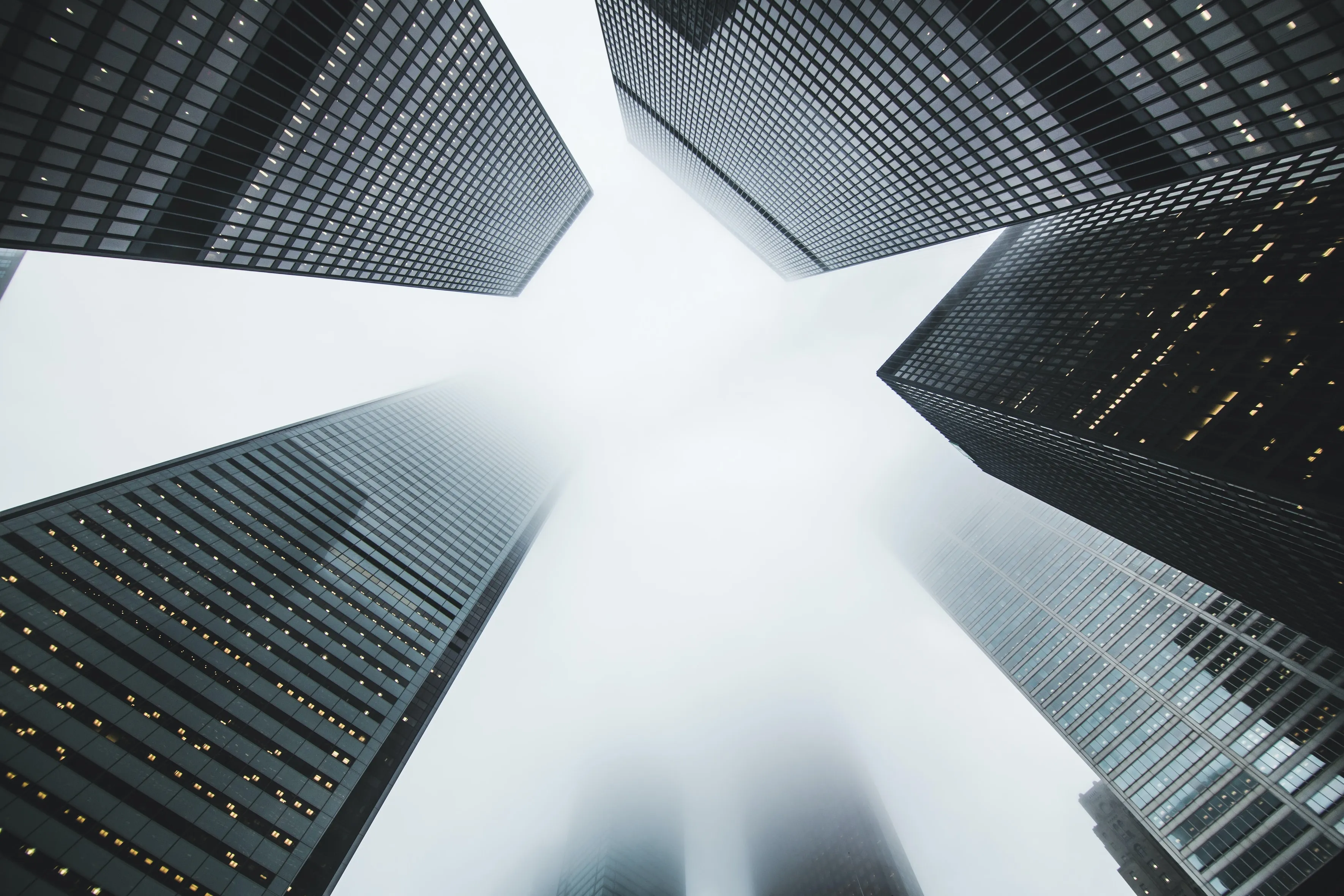 Data is the backbone of your business strategy