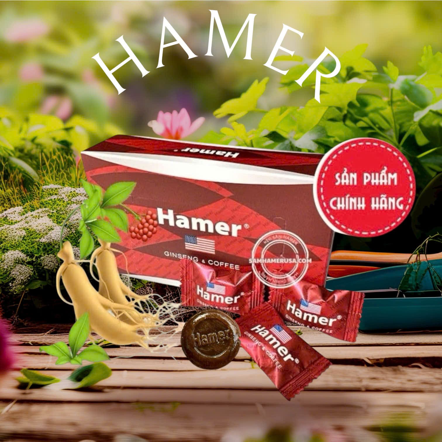 kẹo Sâm Hamer Pleiku, Gia Lai