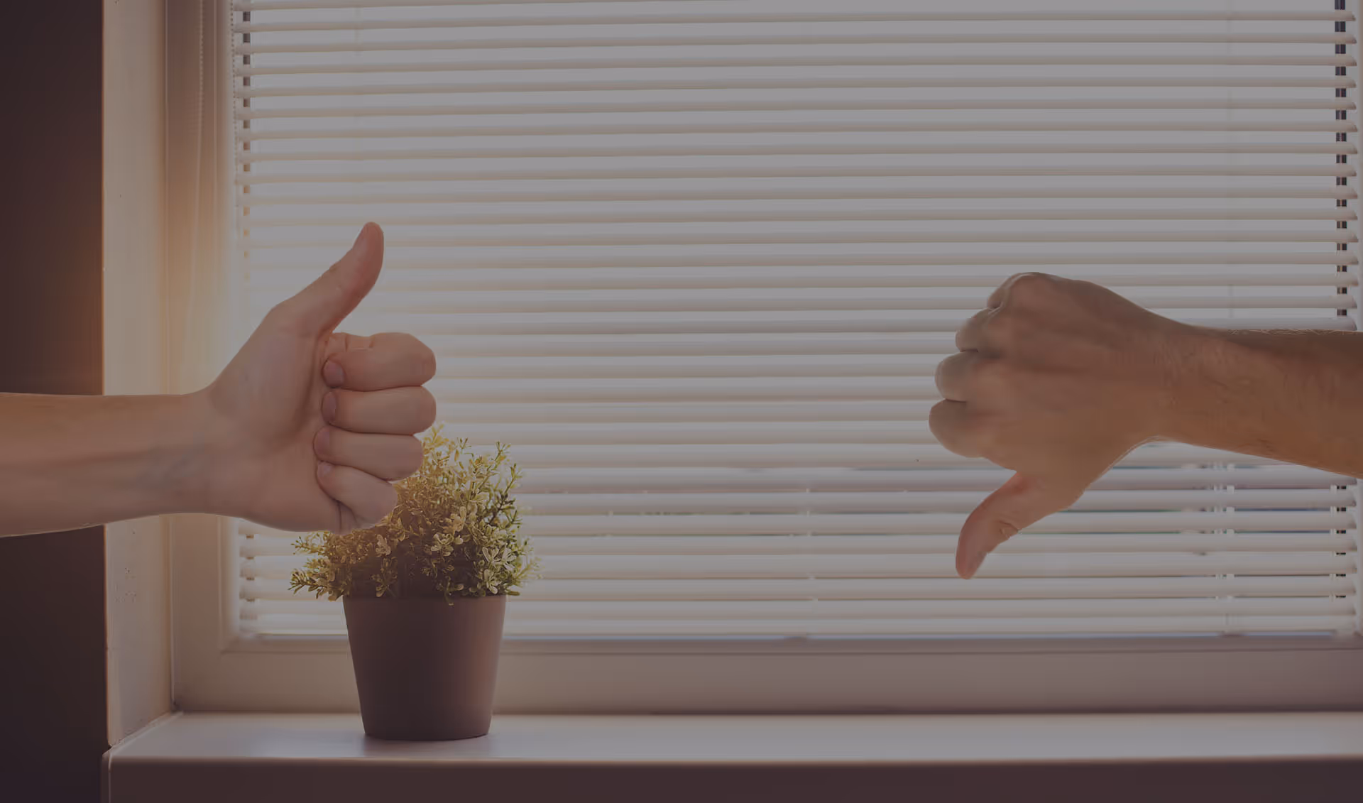 Dvě ruce před oknem se žaluziemi, levá ukazuje palec nahoru a pravá palec dolů, mezi nimi stojí malá rostlina v květináči.