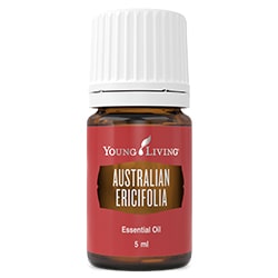 Lavenda - Tea Tree (Lavendel-Teebaumöl) 5ml