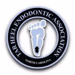 White River Endodontics 
Root Canal