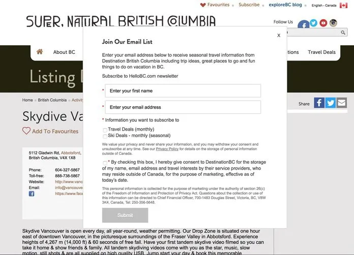 eCommerce user experience best practices - bad popup