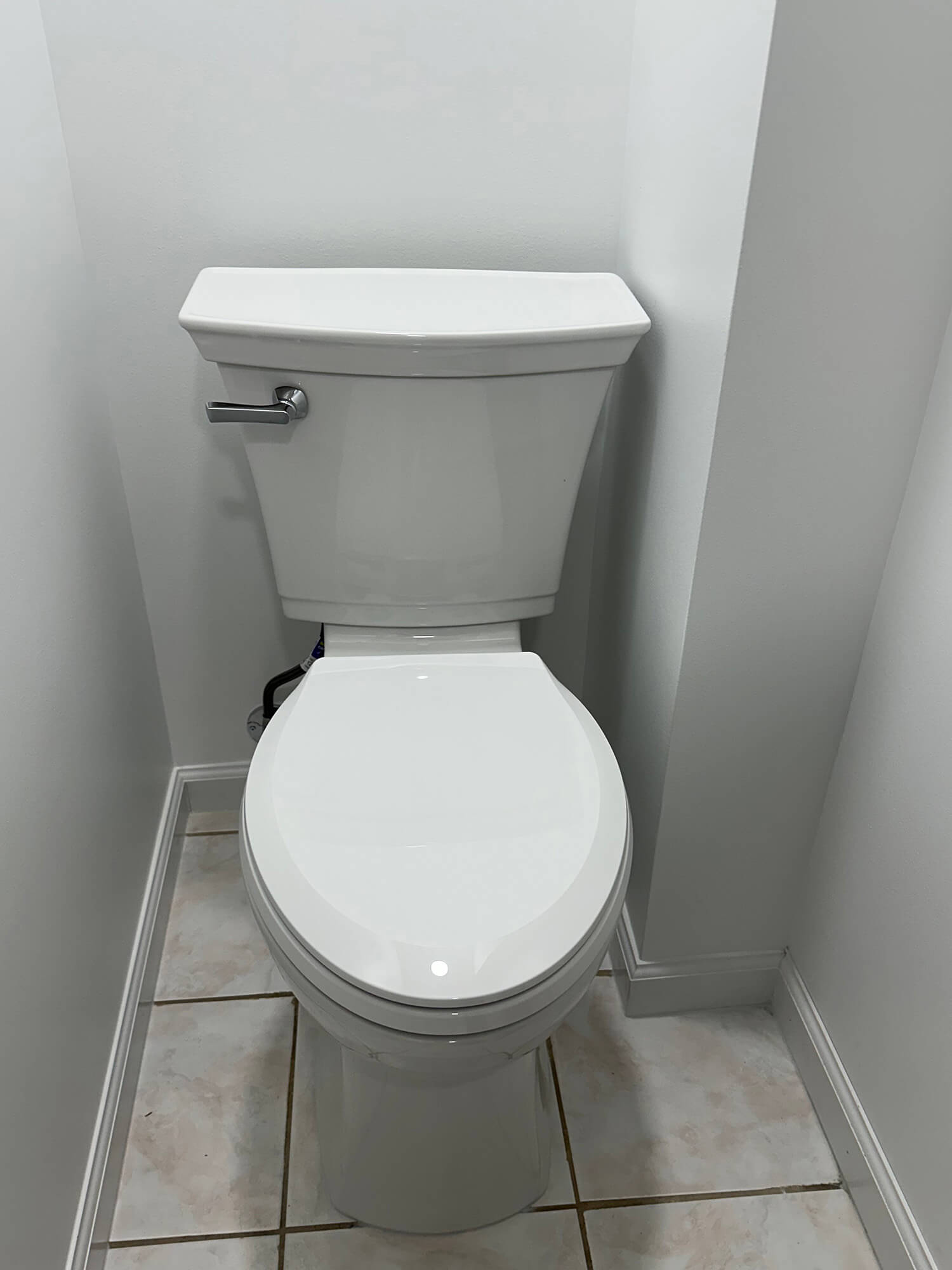 Complete paint and new toilet installed