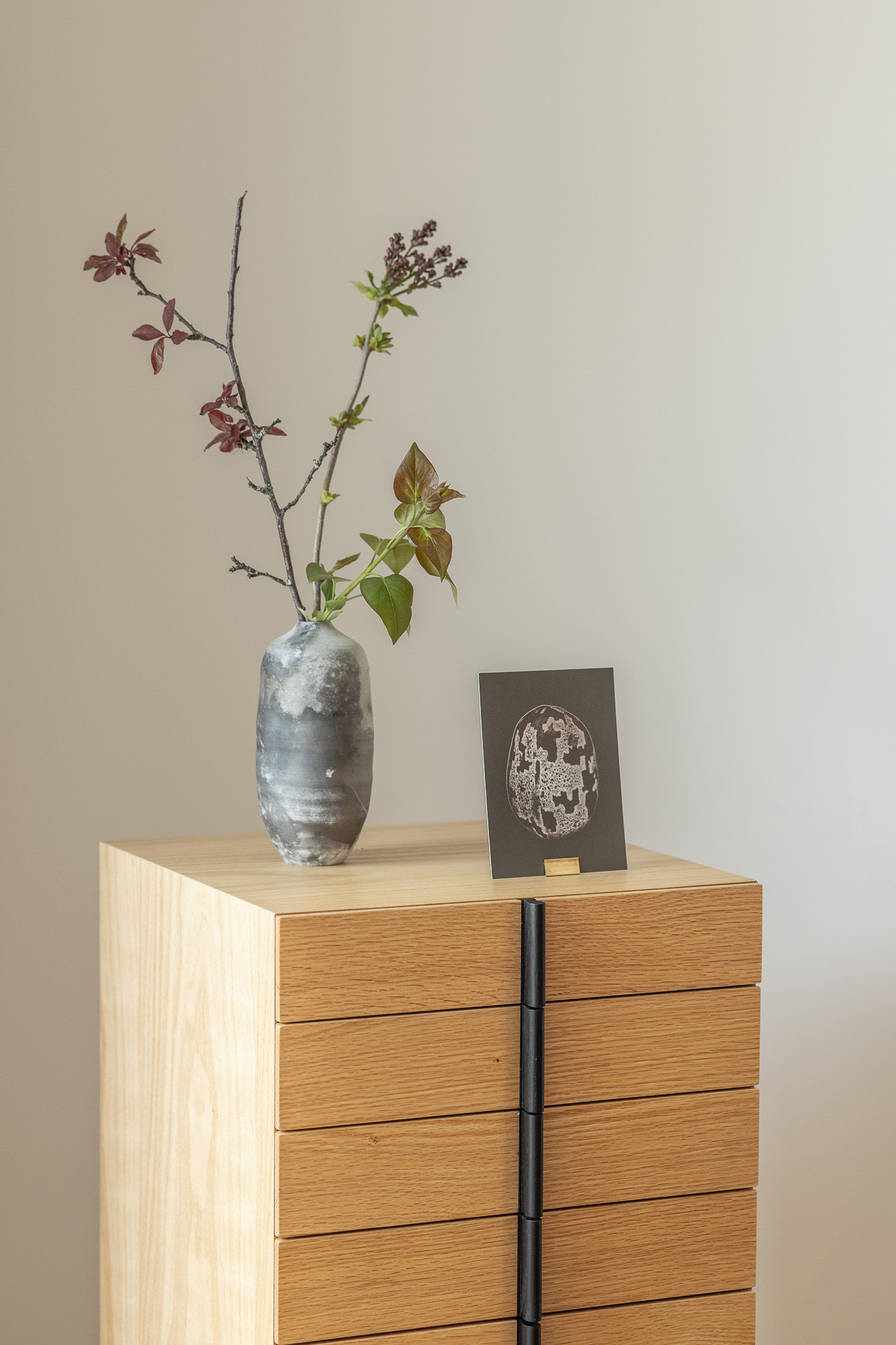 Foto von einer Vase mit frischen Pflanzentrieben.