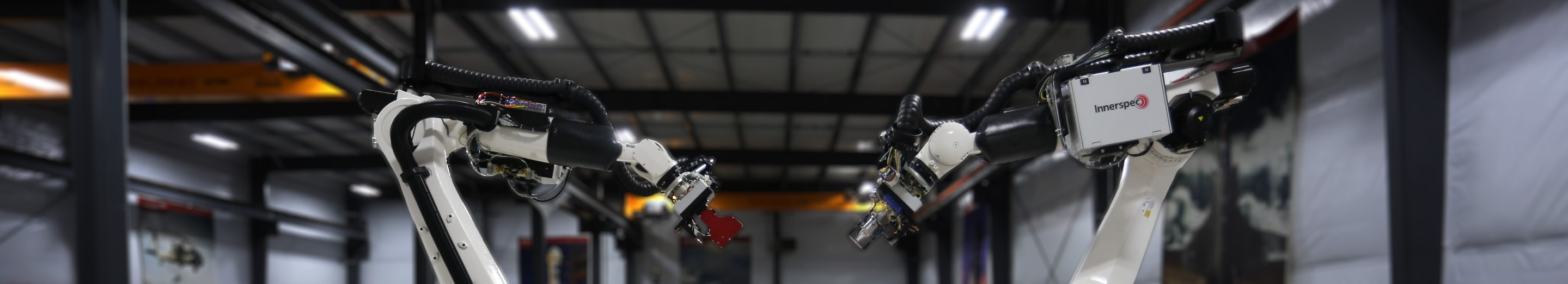 __wf_reserviert_dekorativ