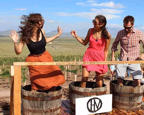 Arizona Hops & Vine Winery