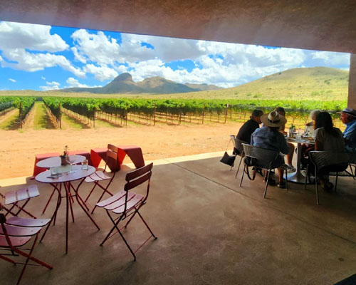 Los Milics Vineyards & Tasting Room