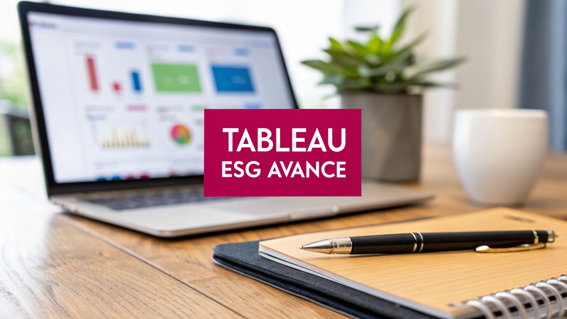 Tableau de bord ESG investisseurs no-code avancé : dashboards percutants
