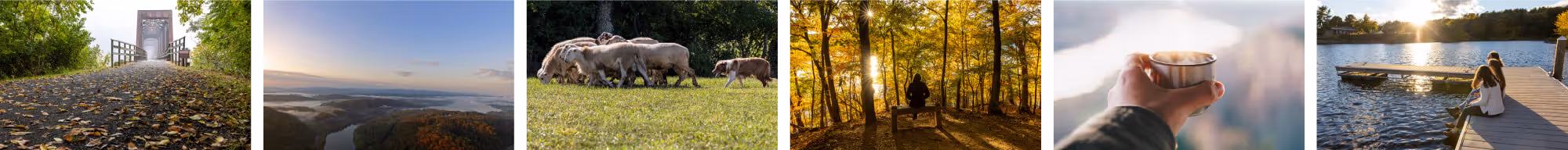 A row of five photos showing an autumnal bridge path, misty landscape with river, grazing horses, person meditating on a bench in fall forest, a hand holding a steaming cup, and a couple sitting on a dock by a lake at sunset.