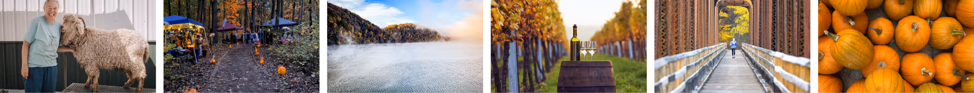 Collage of six images showing a woman with a curly-haired goat, a forest trail decorated with pumpkins and lanterns, a foggy lake surrounded by autumn trees, a vineyard with wine bottle and glasses on a barrel, a person jogging on a wooden bridge in fall, and a pile of small orange pumpkins.